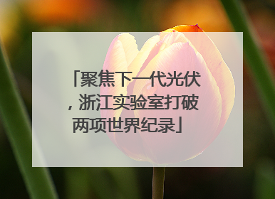 聚焦下一代光伏，浙江实验室打破两项世界纪录