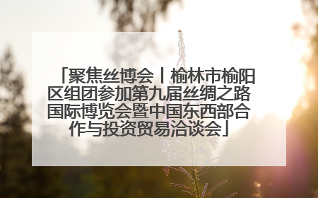 聚焦丝博会丨榆林市榆阳区组团参加第九届丝绸之路国际博览会暨中国东西部合作与投资贸易洽谈会