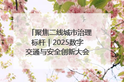 聚焦二线城市治理标杆｜2025数字交通与安全创新大会在保定隆重开幕