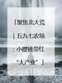 聚焦北大荒｜五九七农场：小樱桃带红“大产业”