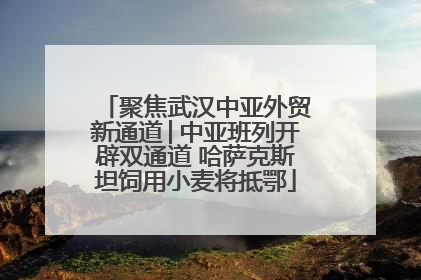 聚焦武汉中亚外贸新通道│中亚班列开辟双通道 哈萨克斯坦饲用小麦将抵鄂