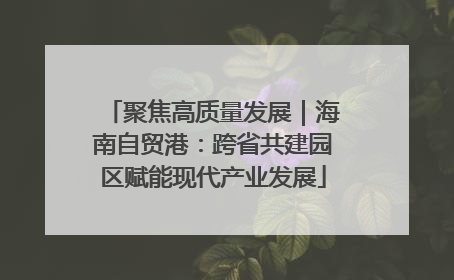 聚焦高质量发展｜海南自贸港：跨省共建园区赋能现代产业发展