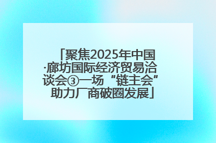 聚焦2025年中国·廊坊国际经济贸易洽谈会③一场“链主会” 助力厂商破圈发展
