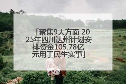 聚焦9大方面 2025年四川达州计划安排资金105.78亿元用于民生实事