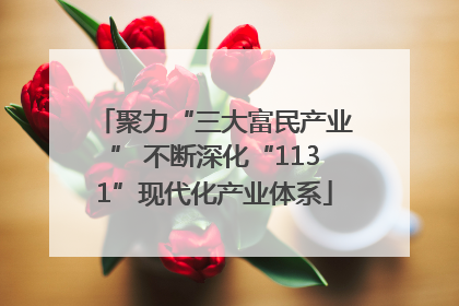 聚力“三大富民产业” 不断深化“1131”现代化产业体系