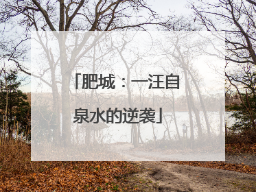 肥城：一汪自泉水的逆袭