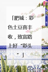 肥城：彩色土豆喜丰收，致富路上好“彩头”