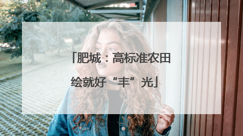 肥城：高标准农田绘就好“丰”光