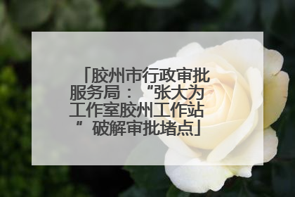 胶州市行政审批服务局：“张大为工作室胶州工作站”破解审批堵点