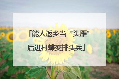 能人返乡当“头雁” 后进村蝶变排头兵
