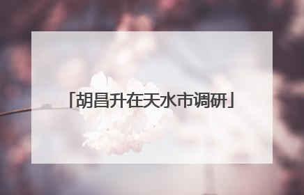 胡昌升在天水市调研