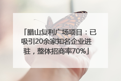 腊山复利广场项目：已吸引20余家知名企业进驻，整体招商率70%