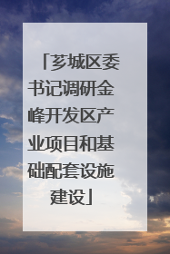芗城区委书记调研金峰开发区产业项目和基础配套设施建设