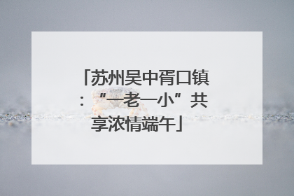 苏州吴中胥口镇：“一老一小”共享浓情端午