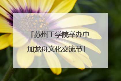 苏州工学院举办中加龙舟文化交流节