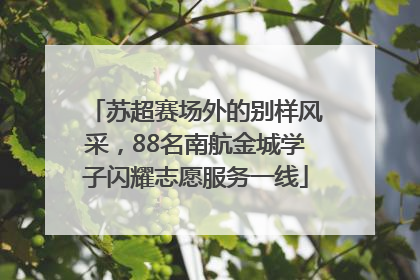 苏超赛场外的别样风采，88名南航金城学子闪耀志愿服务一线