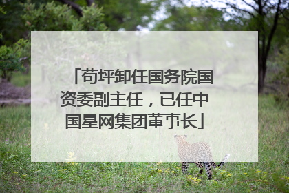 苟坪卸任国务院国资委副主任，已任中国星网集团董事长