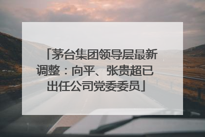 茅台集团领导层最新调整：向平、张贵超已出任公司党委委员