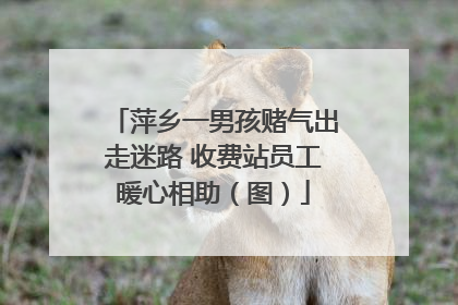 萍乡一男孩赌气出走迷路 收费站员工暖心相助（图）