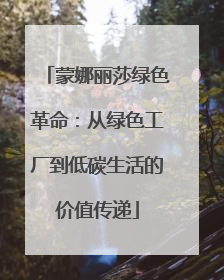 蒙娜丽莎绿色革命：从绿色工厂到低碳生活的价值传递
