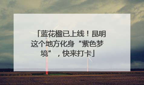 蓝花楹已上线！昆明这个地方化身“紫色梦境”，快来打卡