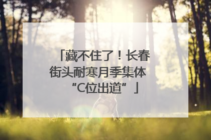 藏不住了！长春街头耐寒月季集体“C位出道”