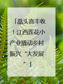 藠头喜丰收！江西莲花小产业撬动乡村振兴“大发展”