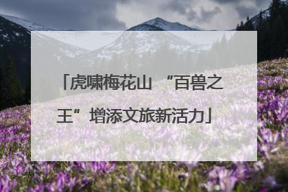 虎啸梅花山 “百兽之王”增添文旅新活力