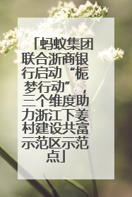 蚂蚁集团联合浙商银行启动“栀梦行动”，三个维度助力浙江下姜村建设共富示范区示范点