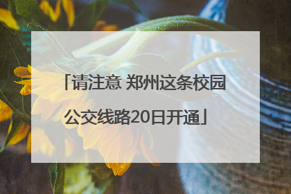 请注意 郑州这条校园公交线路20日开通