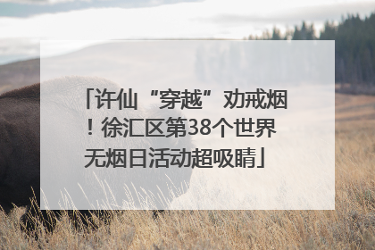 许仙“穿越”劝戒烟！徐汇区第38个世界无烟日活动超吸睛