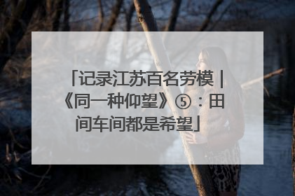记录江苏百名劳模｜《同一种仰望》⑤：田间车间都是希望