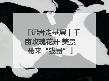 记者走基层｜千亩玫瑰花开 美景带来“钱景”