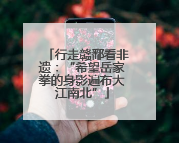 行走赣鄱看非遗：“希望岳家拳的身影遍布大江南北”