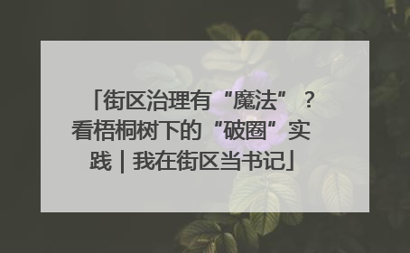 街区治理有“魔法”？看梧桐树下的“破圈”实践｜我在街区当书记