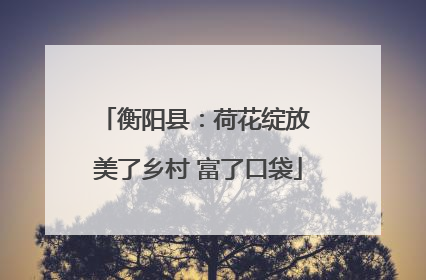 衡阳县：荷花绽放 美了乡村 富了口袋