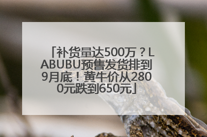 补货量达500万？LABUBU预售发货排到9月底！黄牛价从2800元跌到650元