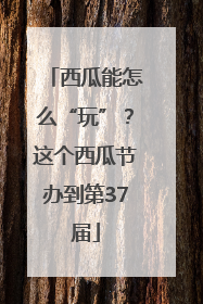 西瓜能怎么“玩”？这个西瓜节办到第37届
