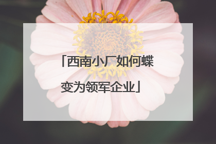 西南小厂如何蝶变为领军企业