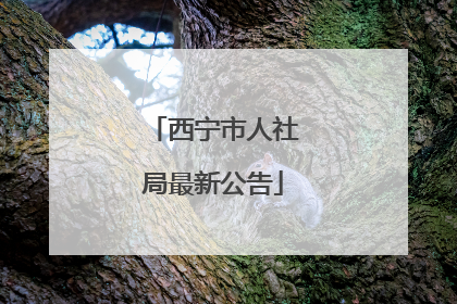 西宁市人社局最新公告