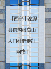 西宁市湟源县前沟村高山大白杜鹃走红网络
