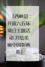 西峡县：开展六五环境日主题活动 共绘美丽中国新画卷