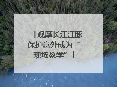 观摩长江江豚保护意外成为“现场教学”