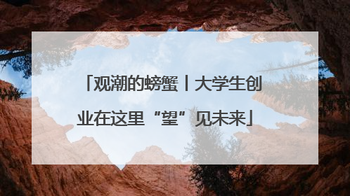 观潮的螃蟹丨大学生创业在这里“望”见未来