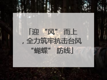 迎 “风” 而上，全力筑牢抗击台风 “蝴蝶” 防线