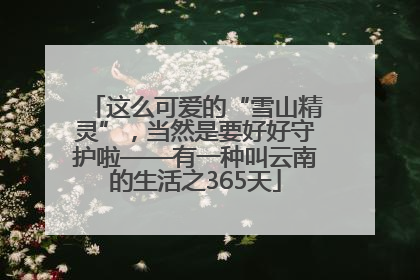 这么可爱的“雪山精灵”，当然是要好好守护啦——有一种叫云南的生活之365天
