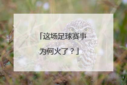 这场足球赛事为何火了？
