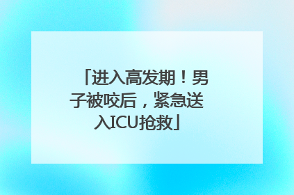 进入高发期！男子被咬后，紧急送入ICU抢救