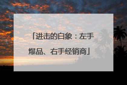 进击的白象：左手爆品、右手经销商