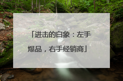 进击的白象：左手爆品，右手经销商
